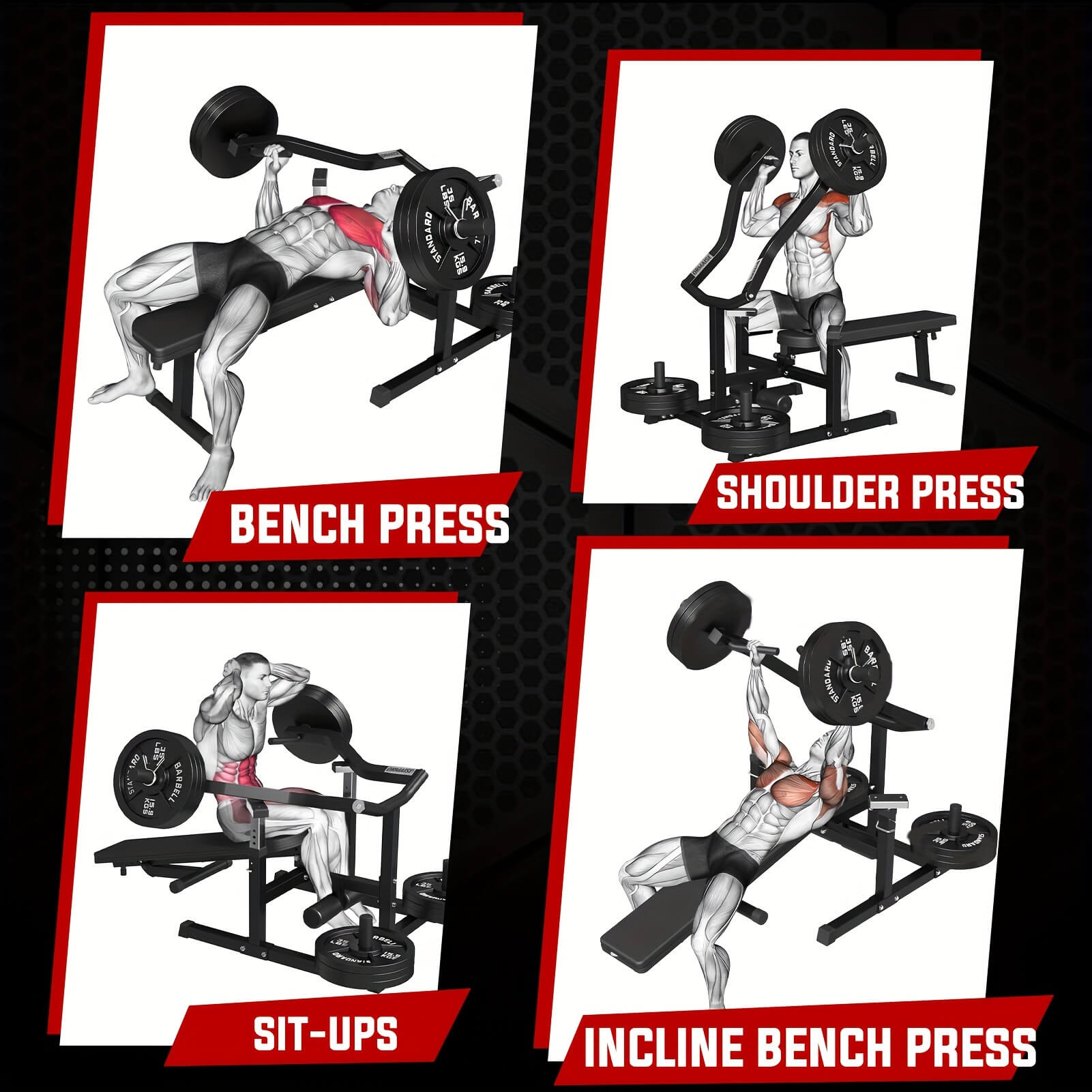 Illustrations of a chest press machine with different exercises labeled on a black background.