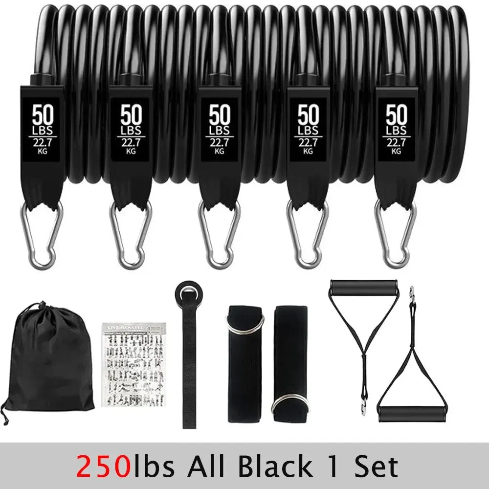 Resistance Bands With Handles - 250lbs All Black image