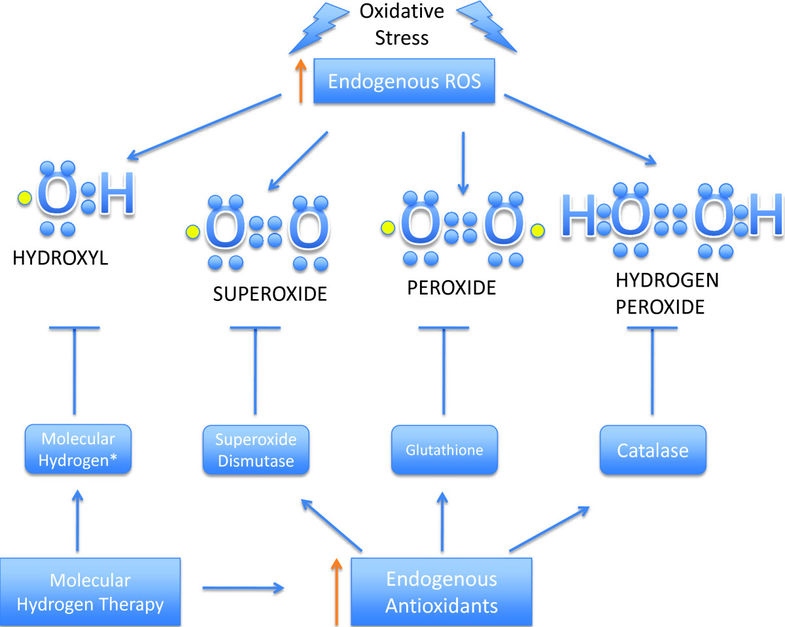 Diagram of oxidative stress and its relationship with ROS, antioxidants, and molecular hydrogen therapy.