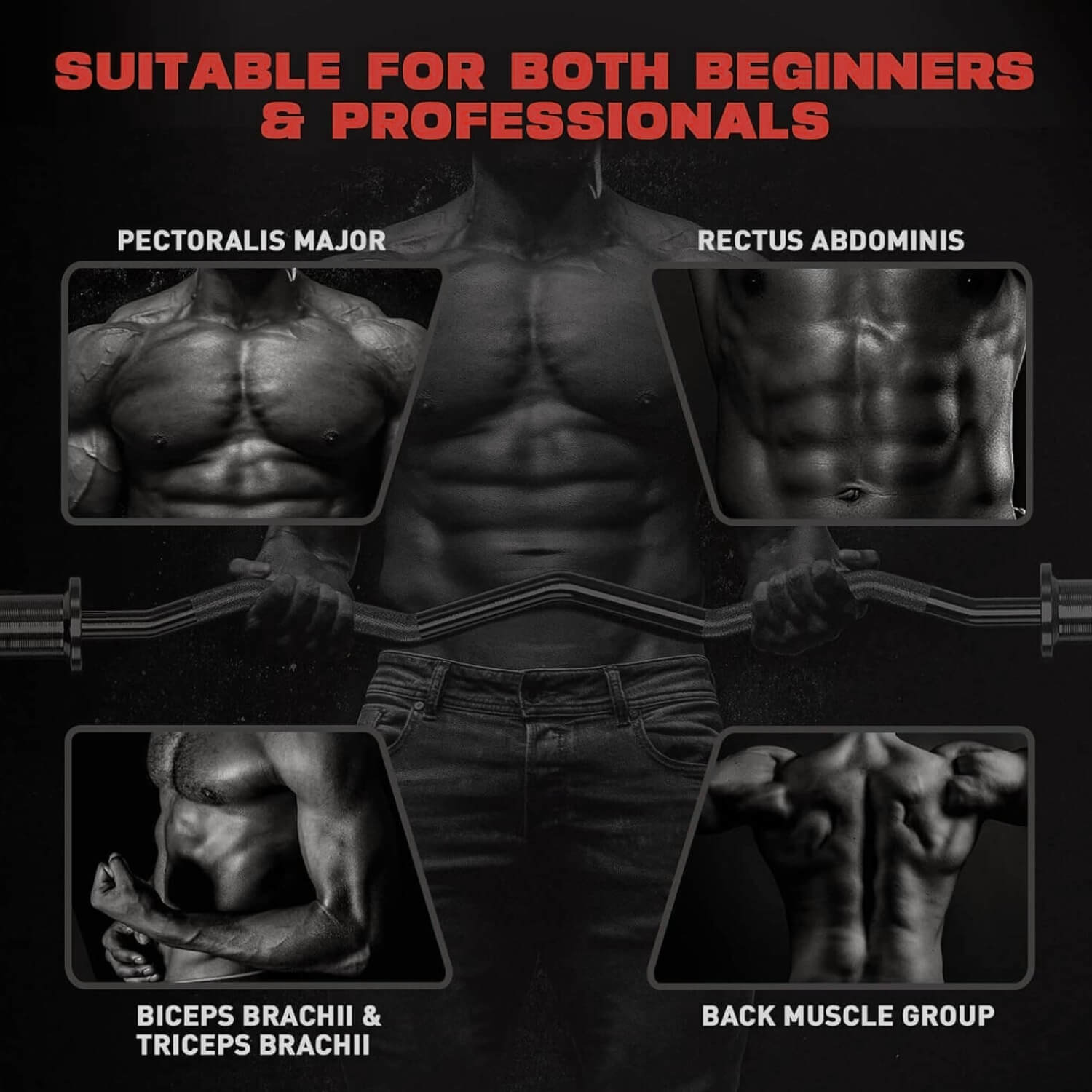 Person showcasing various muscle groups with text indicating suitability for beginners and professionals.