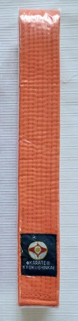 Orange belt in karate sold by 100 Spartans