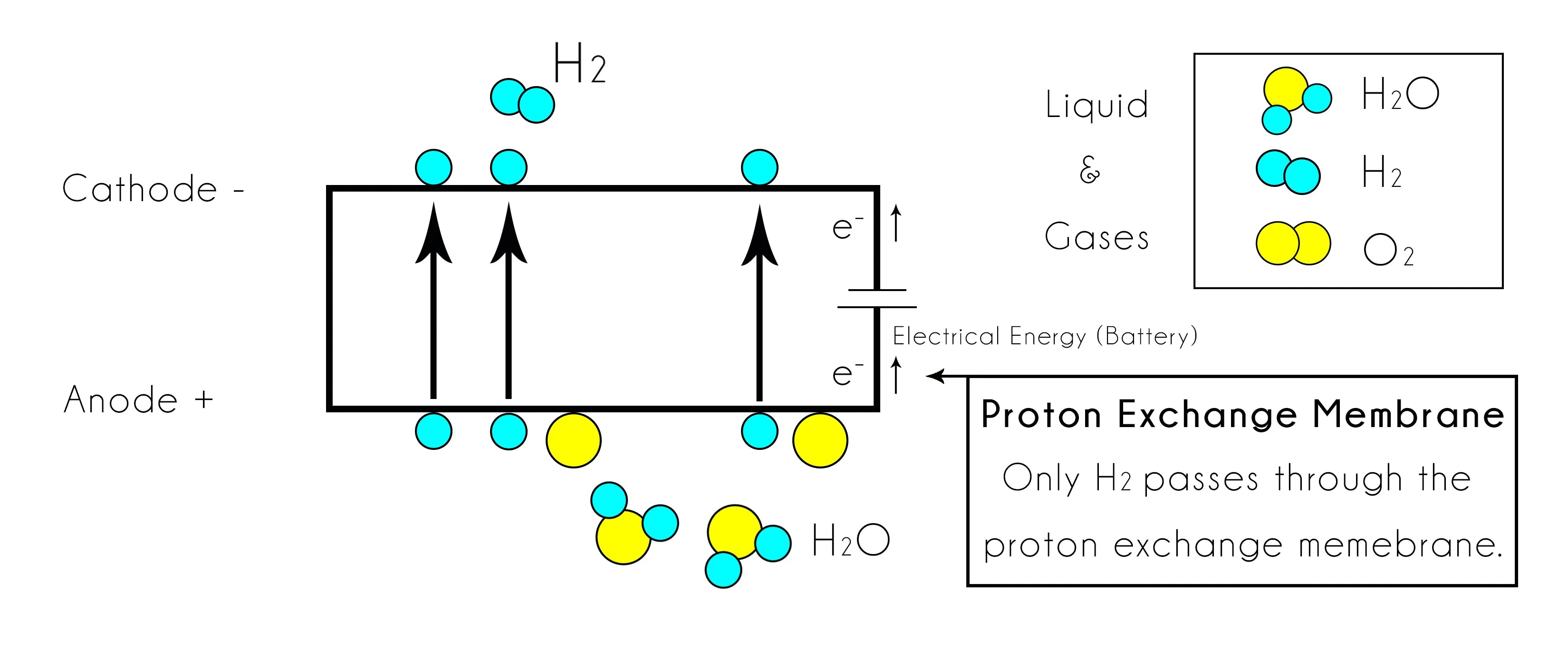 Diagram of proton exchange membrane fuel cell with hydrogen and water molecules.