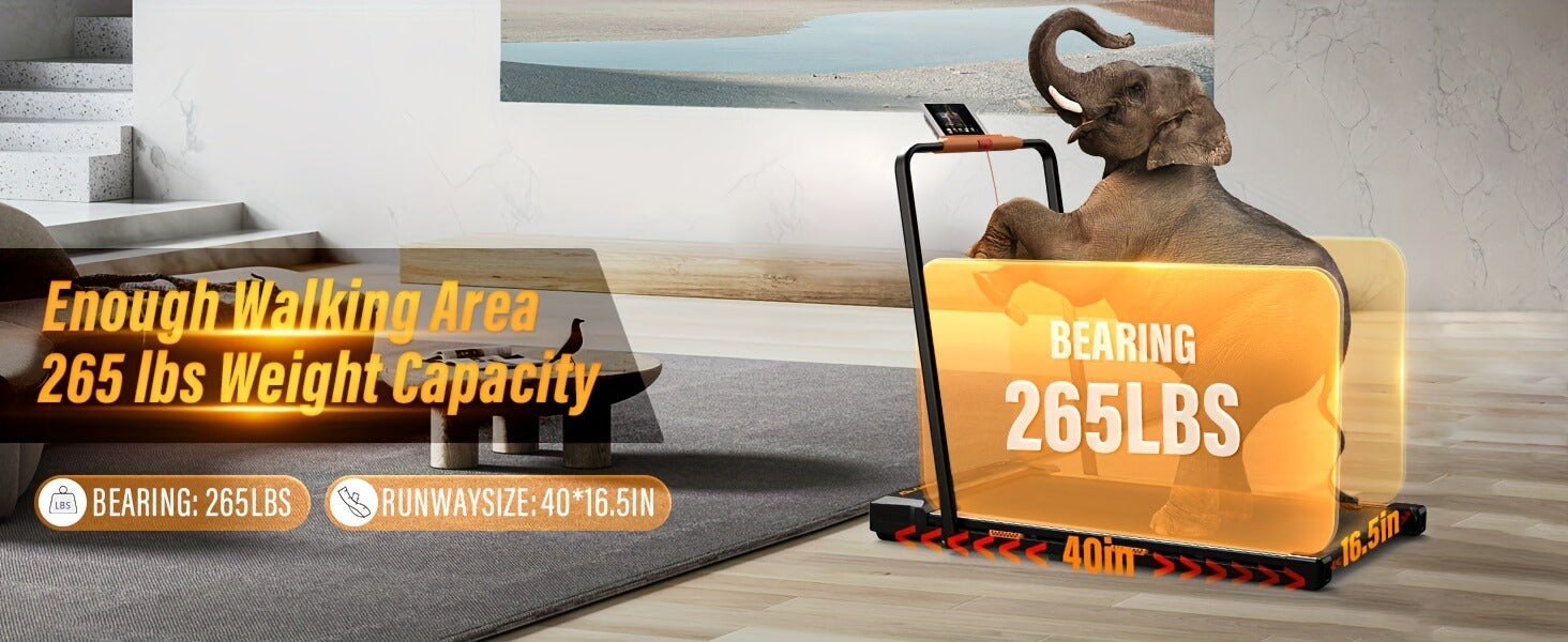 The weight bearing capacity of a Airhot 2-in-1 under desk treadmill sold by 100 Spartans