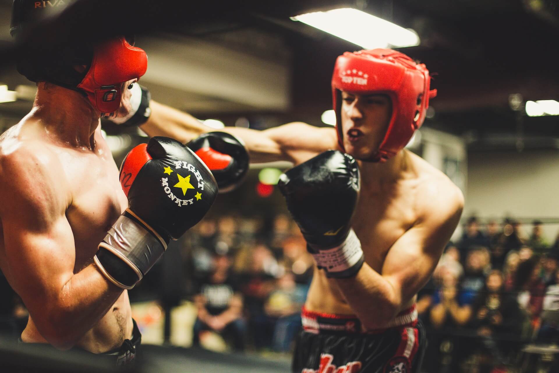 2 mixed martial art fighters in the ring competing for the grand prize. They were both fitted by 100 Spartans